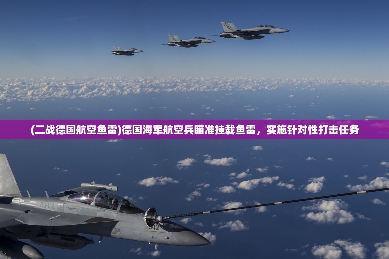 (二战德国航空鱼雷)德国海军航空兵瞄准挂载鱼雷，实施针对性打击任务