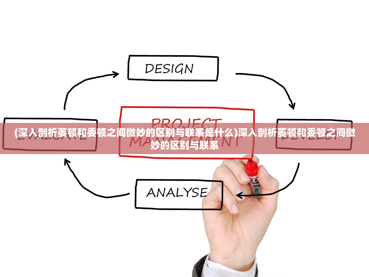 老澳门开奖结果2024开奖记录查询|精选最佳解读方法与实践案例_旗舰版2.149