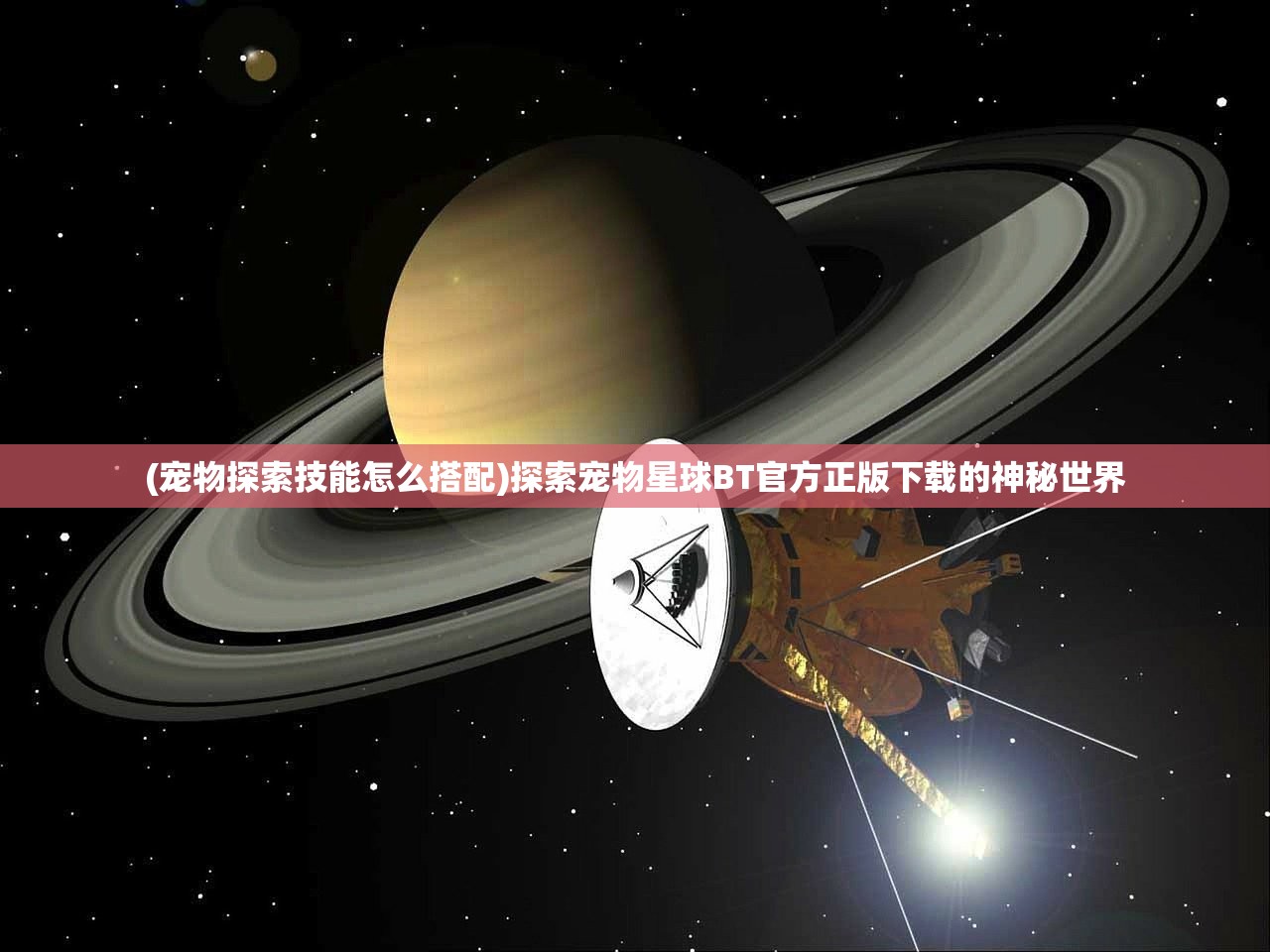 (宠物探索技能怎么搭配)探索宠物星球BT官方正版下载的神秘世界