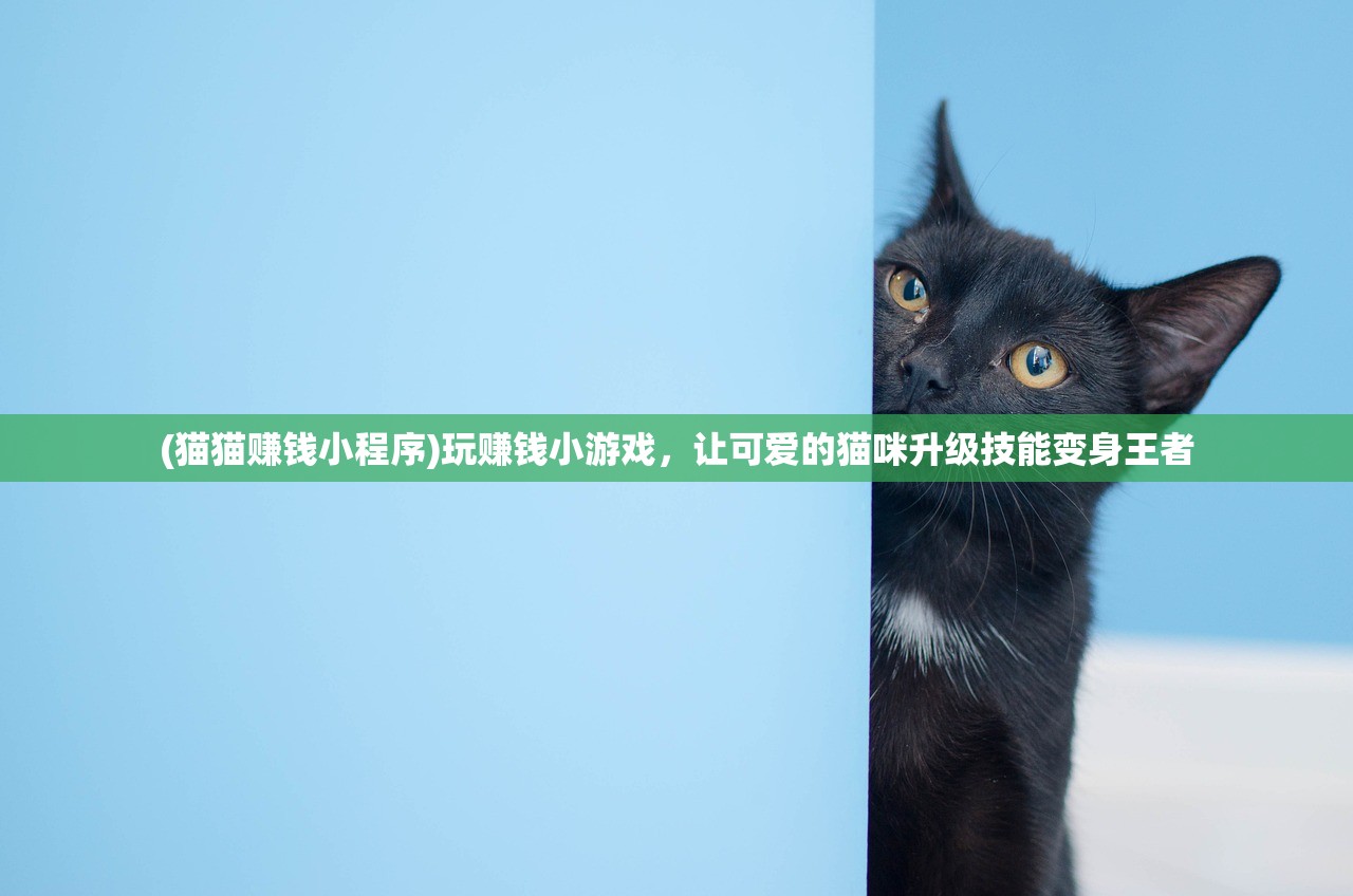 (猫猫赚钱小程序)玩赚钱小游戏，让可爱的猫咪升级技能变身王者