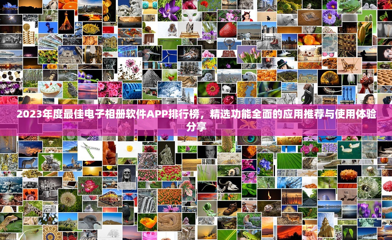 2023年度最佳电子相册软件APP排行榜，精选功能全面的应用推荐与使用体验分享