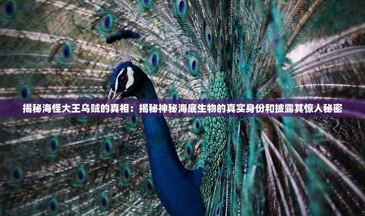 揭秘海怪大王乌贼的真相：揭秘神秘海底生物的真实身份和披露其惊人秘密